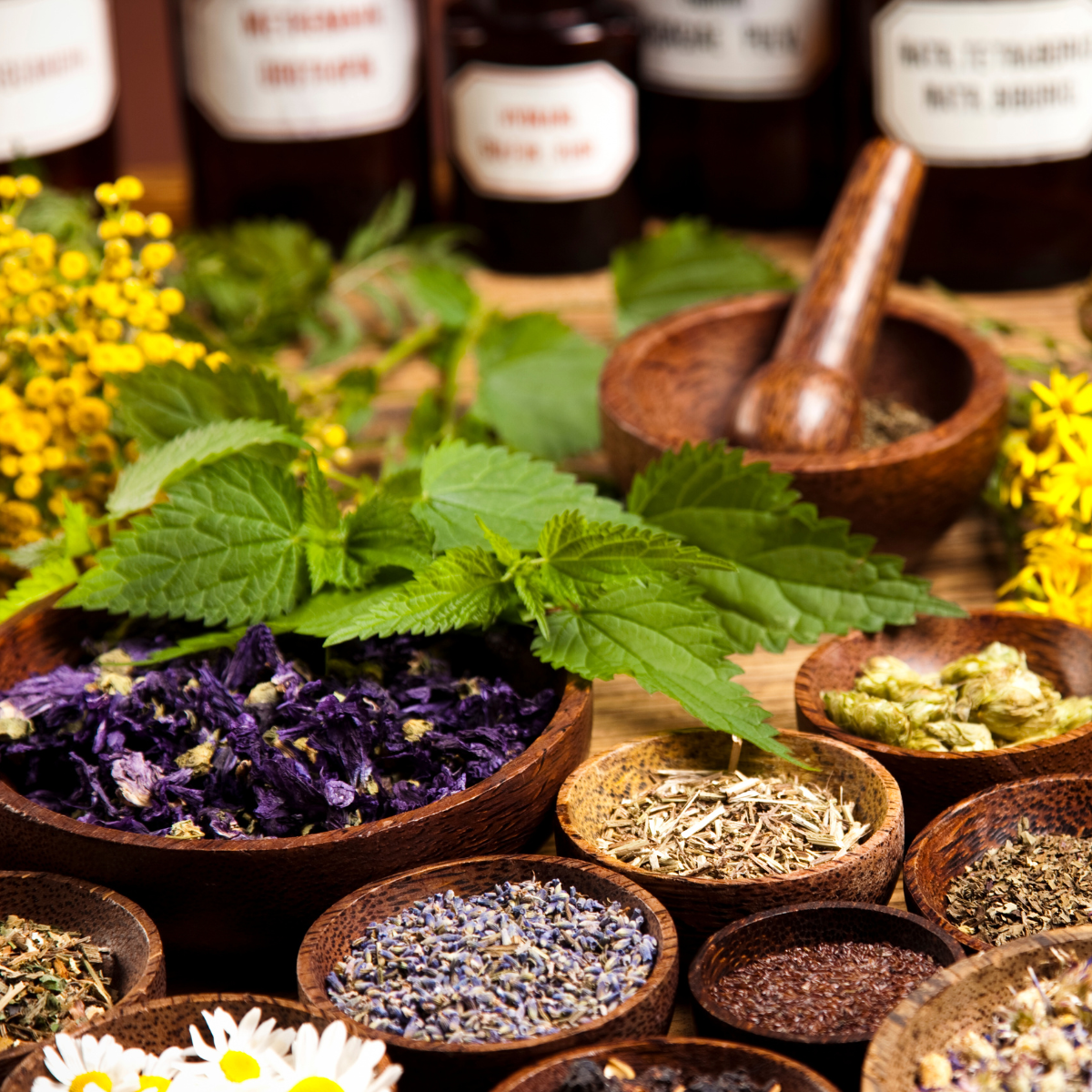 5 Medicinal Plants and Their Uses: Natural Remedies.