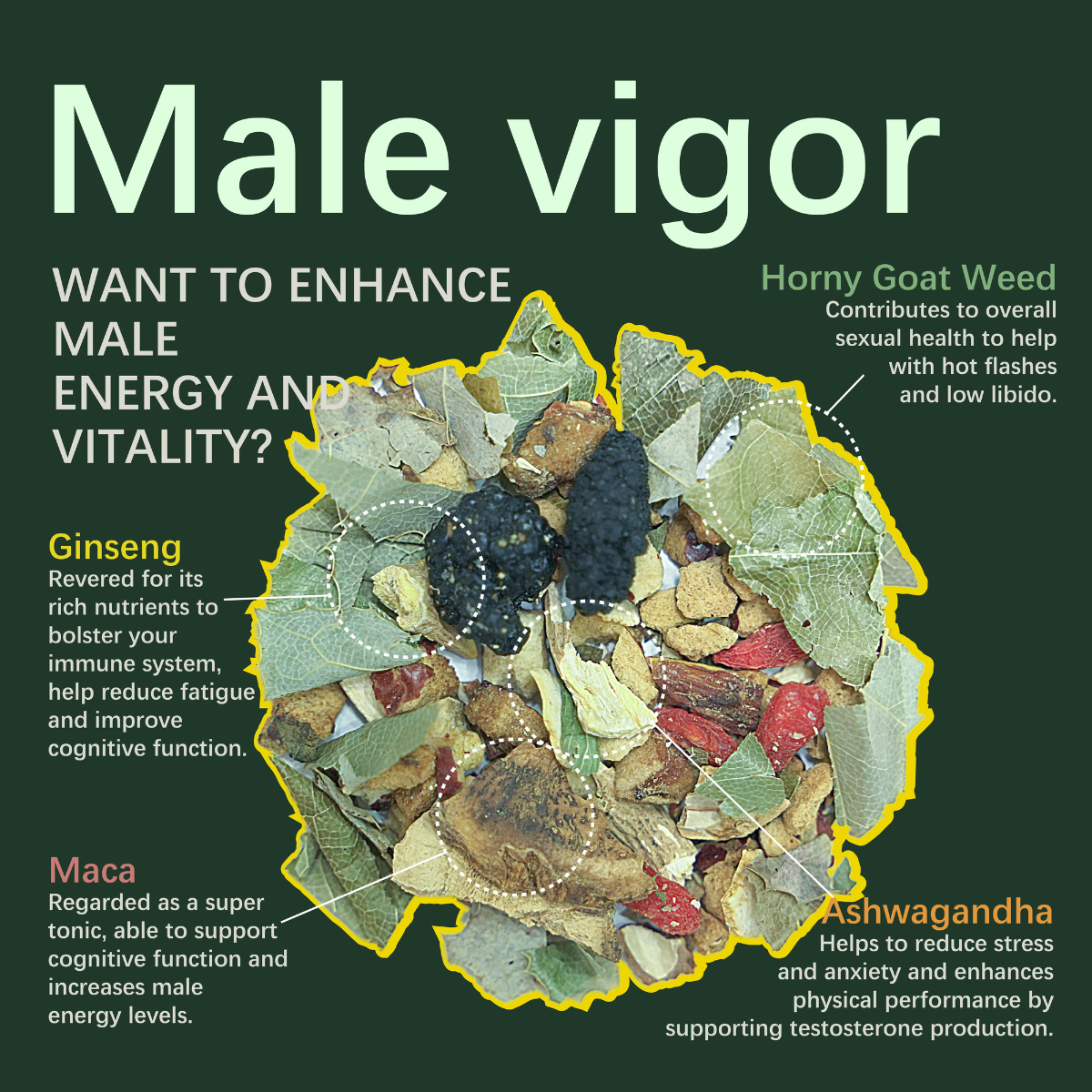 Male Vigor - Enhance male energy and vitality - HERBLIGHT