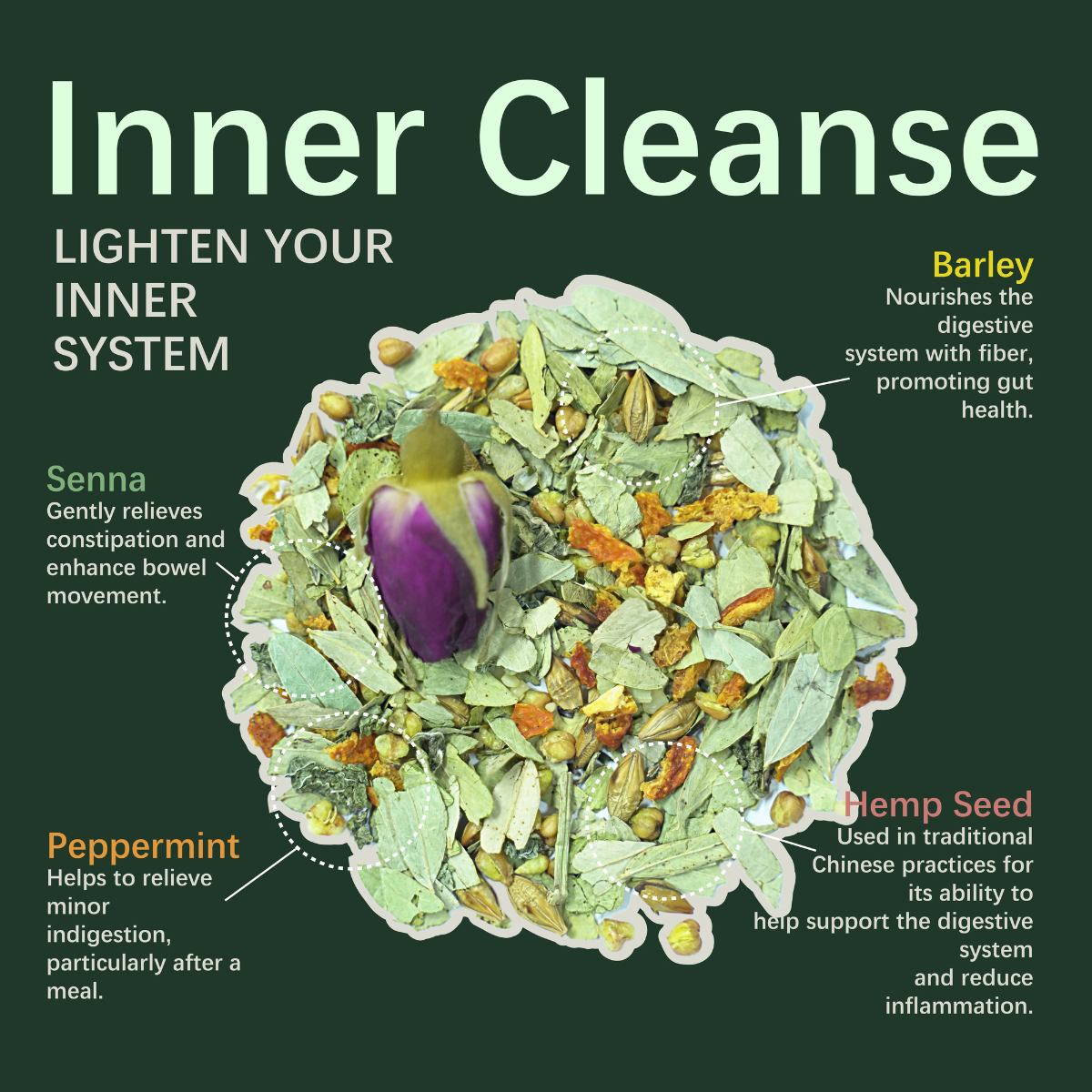 Inner Cleanse - Lighten your inner system - HERBLIGHT